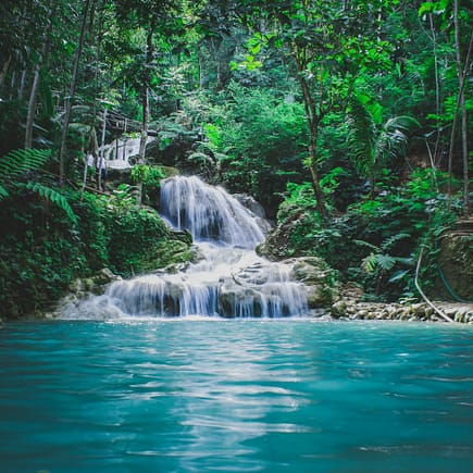 photography of waterfalls between trees