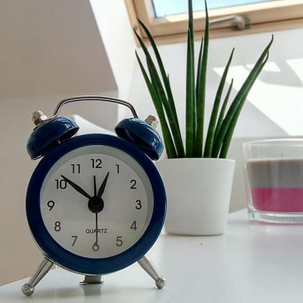 round blue alarm clock with bell on white table near snake plant