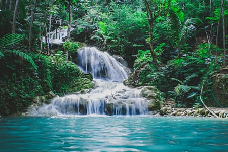 photography of waterfalls between trees