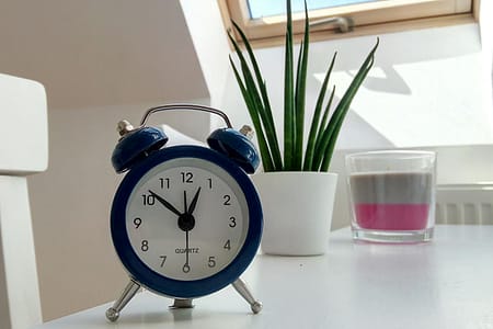 round blue alarm clock with bell on white table near snake plant